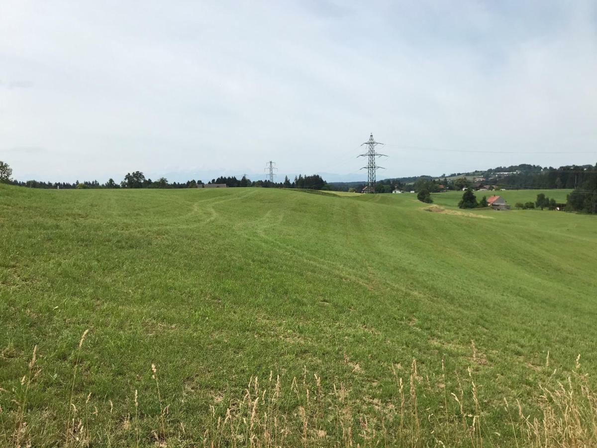 Apartment Haus Stegmeir Hohenweiler